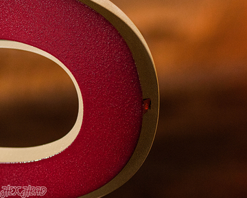 Florida State FS Logo 3D Vintage Metal Wall Art