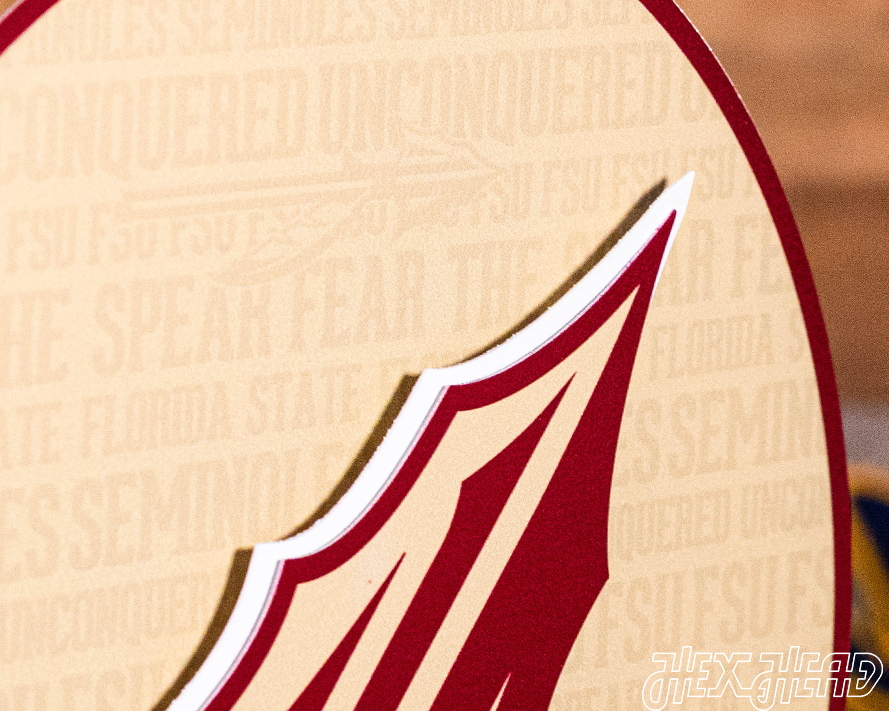 Florida State Seminoles CRAFT SERIES 3D Vintage Metal Wall Art