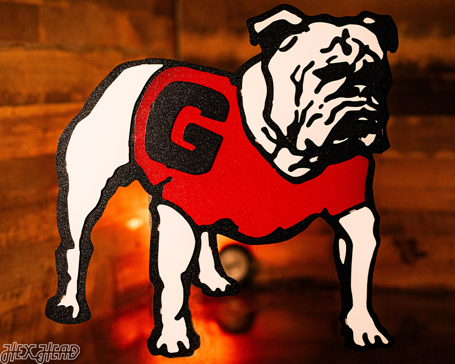 Retro 1964 Georgia Bulldogs UGA 3D Metal Art 23