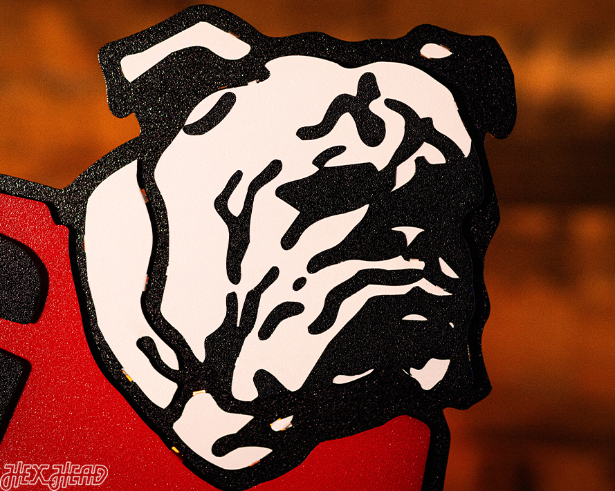 Retro 1964 Georgia Bulldogs UGA 3D Metal Wall Art