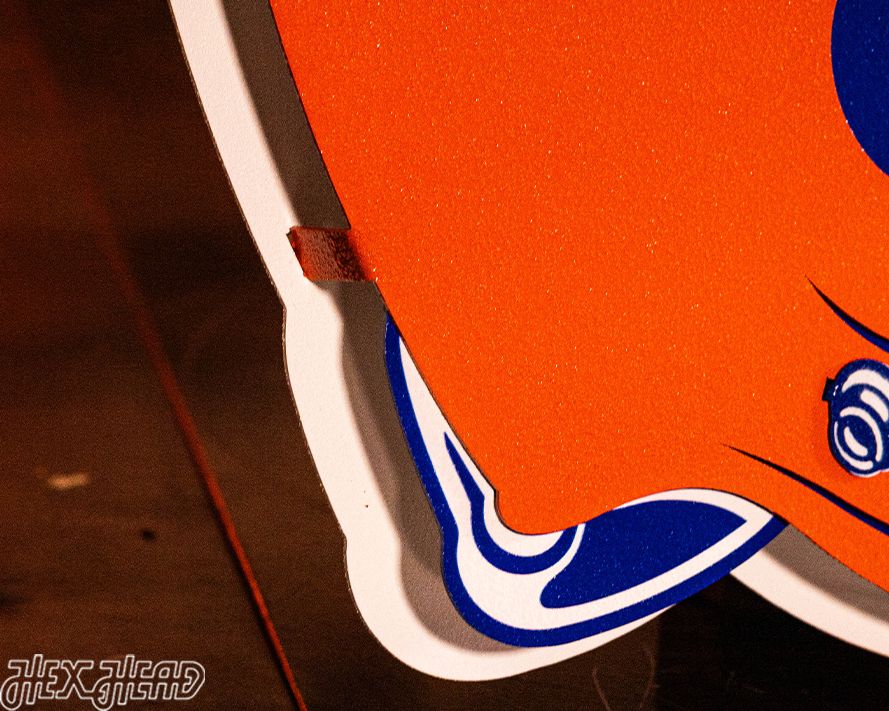 Florida Gators BLITZ COLLECTION - 8 LAYER 3D Metal Wall Art