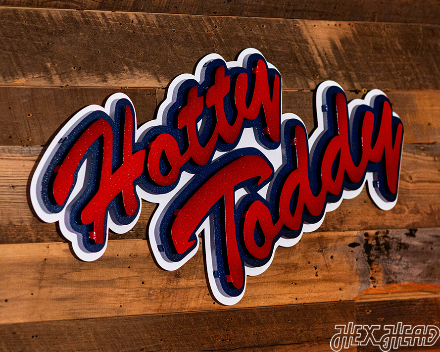 Ole Miss "Hotty Toddy" on Mississippi 3D Vintage Metal Wall Art