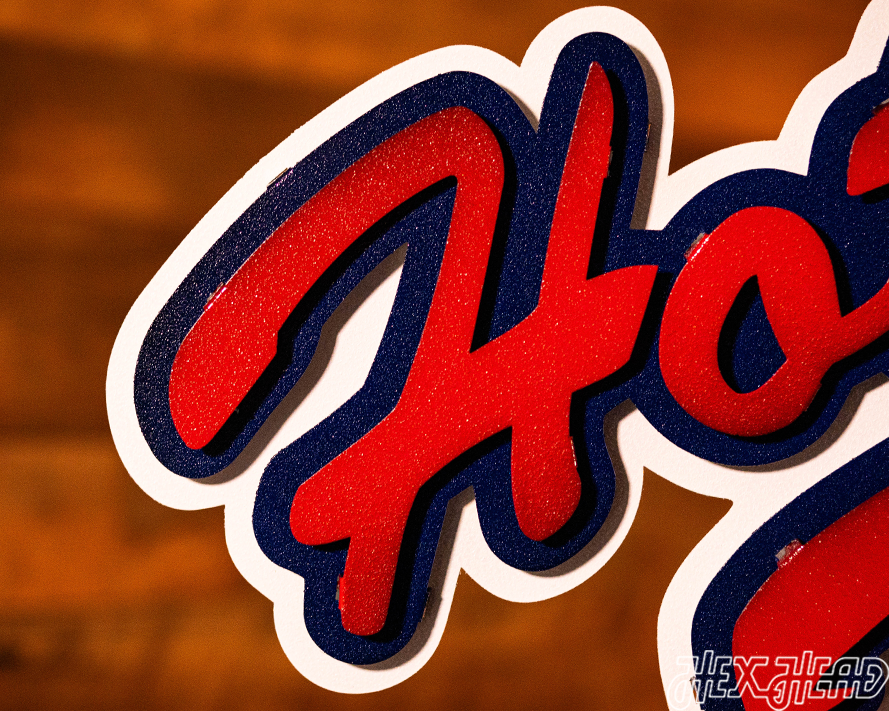 Ole Miss "Hotty Toddy" on Mississippi 3D Vintage Metal Wall Art