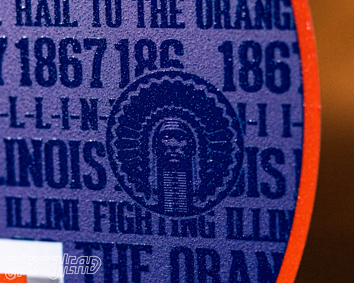 Illinois Fighting Illini Block "I" In BLUE 3D Vintage Metal Wall Art 23'' X 16 - Foto 3