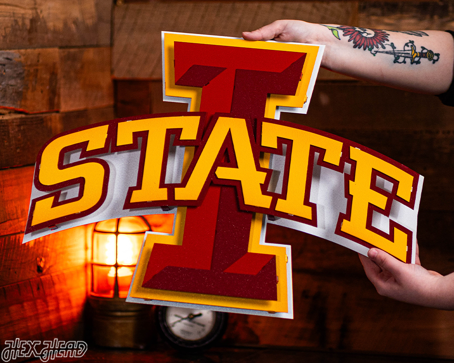 Iowa State Cyclones 3D Vintage Metal Wall Art
