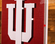 Load image into Gallery viewer, Indiana Hoosiers Trident White 3D Vintage Metal Wall Art
