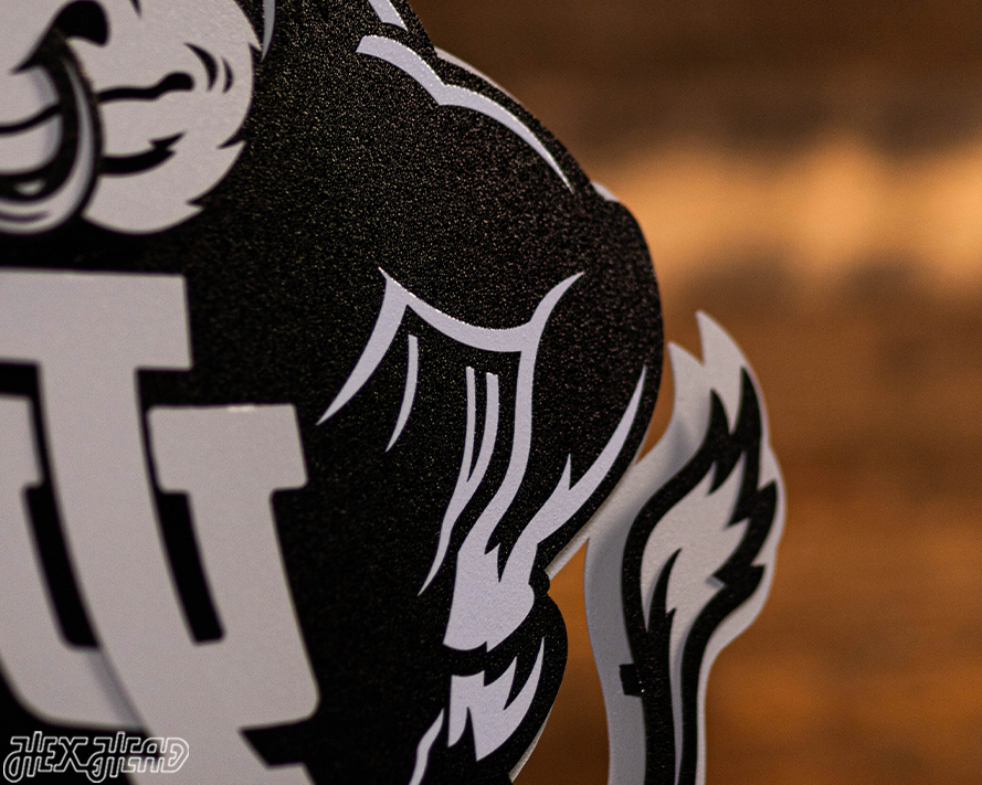 MONOCHROME - Indiana Hoosiers "1960's BISON" 3D Vintage Metal Wall Art
