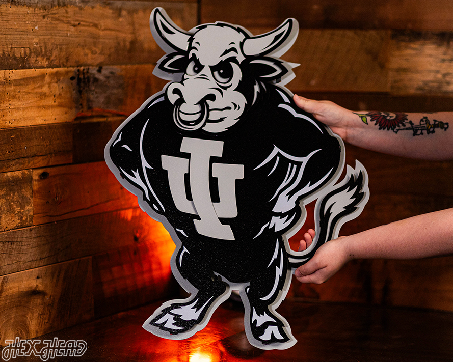 MONOCHROME - Indiana Hoosiers "1960's BISON" 3D Vintage Metal Wall Art