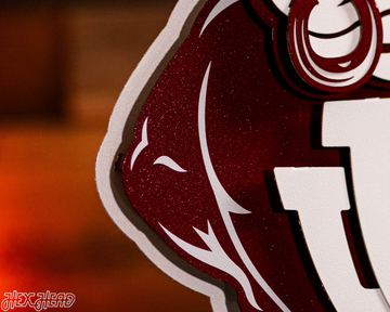 Indiana Hoosiers "1960's BISON" 3D Vintage Metal Wall Art