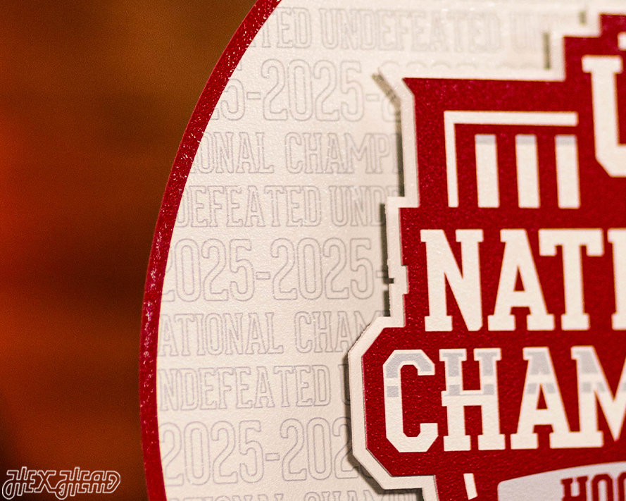 Indiana Hoosiers Official 2025 National Champions Craft Series 3D Embossed Metal Wall Art