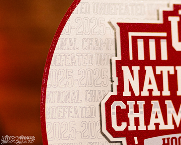 Indiana Hoosiers Official 2025 National Champions Craft Series 3D Embossed Metal Wall Art