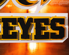 Load image into Gallery viewer, Iowa Hawkeyes Mascot with &quot;HAWKEYES&quot;  3D Metal Wall Art
