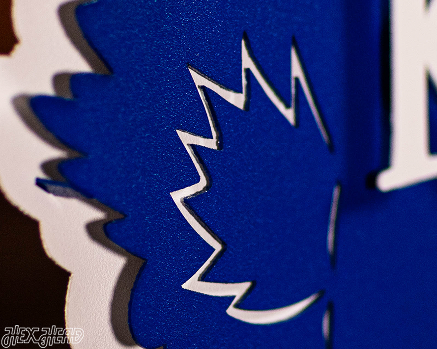 Kansas Jayhawks "BIG JAY MASCOT" 3D Vintage Metal Wall Art