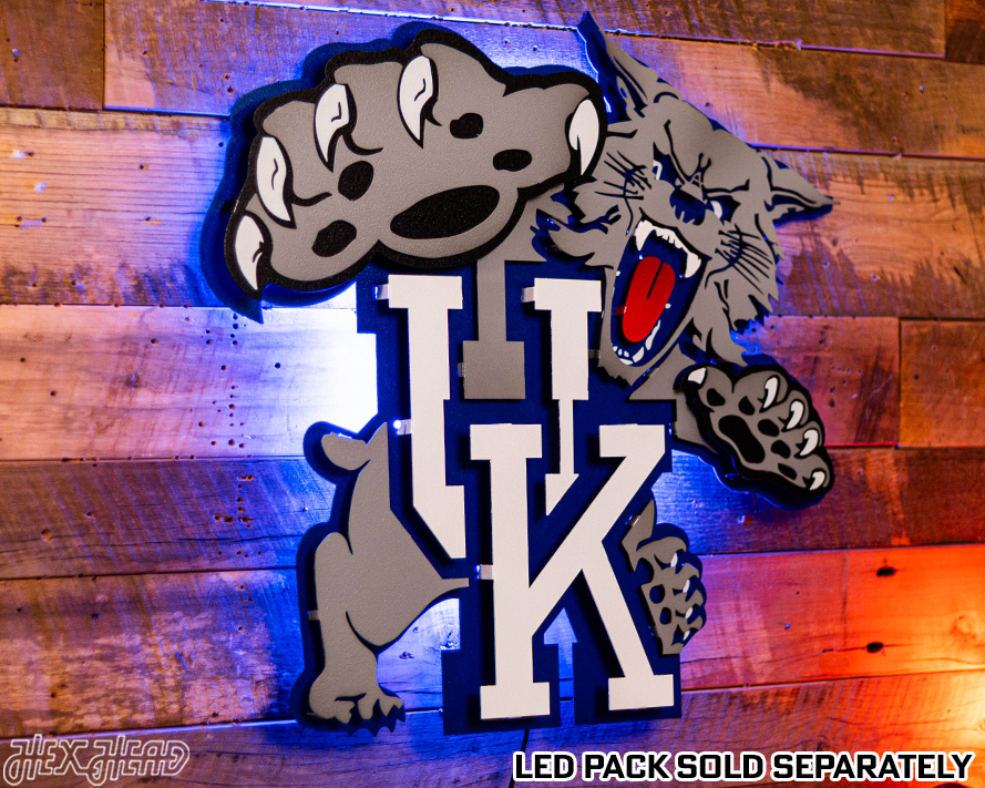 Kentucky "Wildcat over UK" 1989-94, 3D Vintage Metal Wall Art