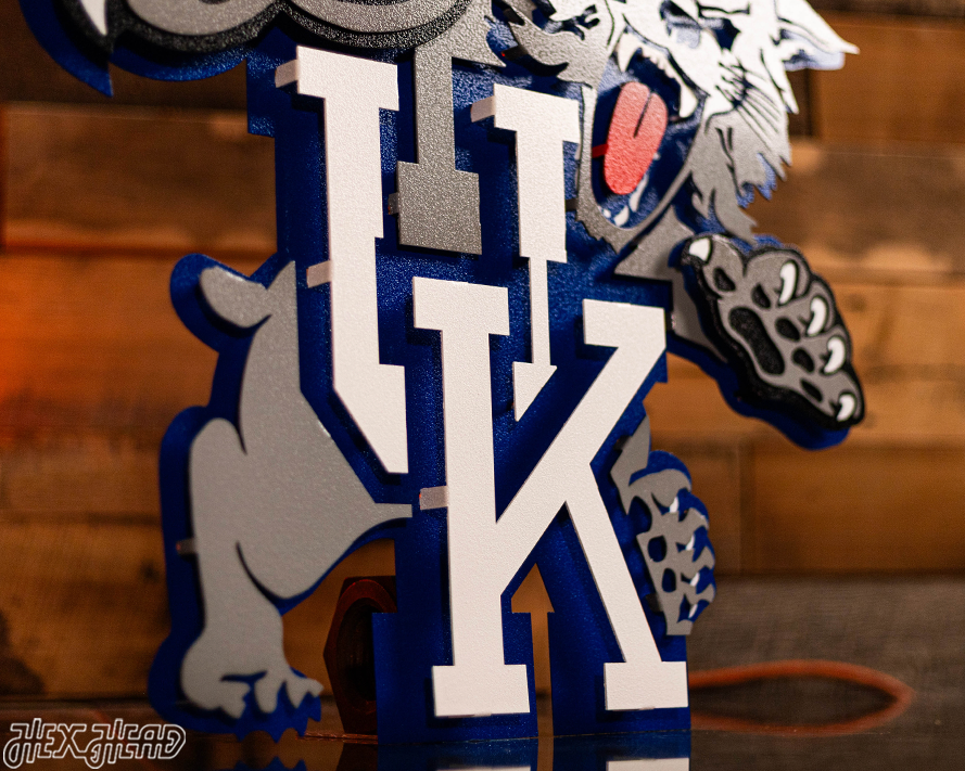 Kentucky "Wildcat over UK" 1989-94, 3D Vintage Metal Wall Art