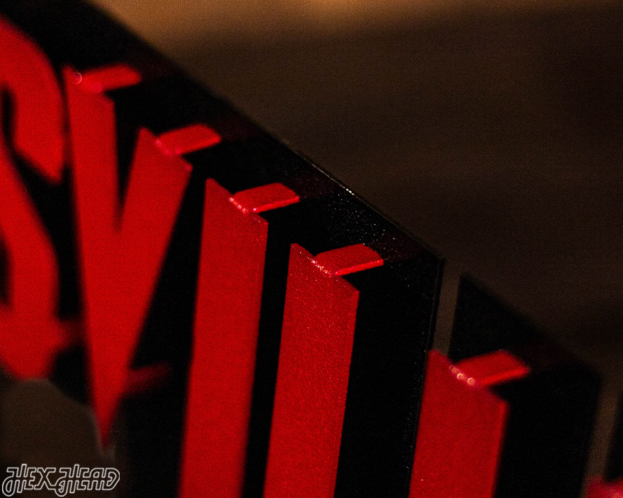 Louisville Cardinals Wordmark 3D Metal Wall Art