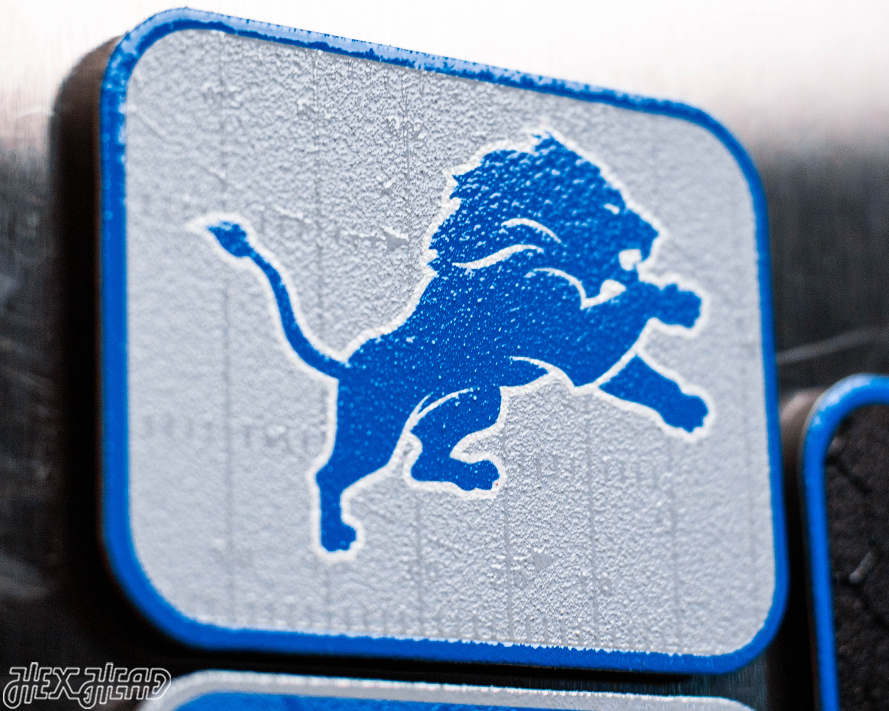 Detroit Lions - SET of 3 Magnets