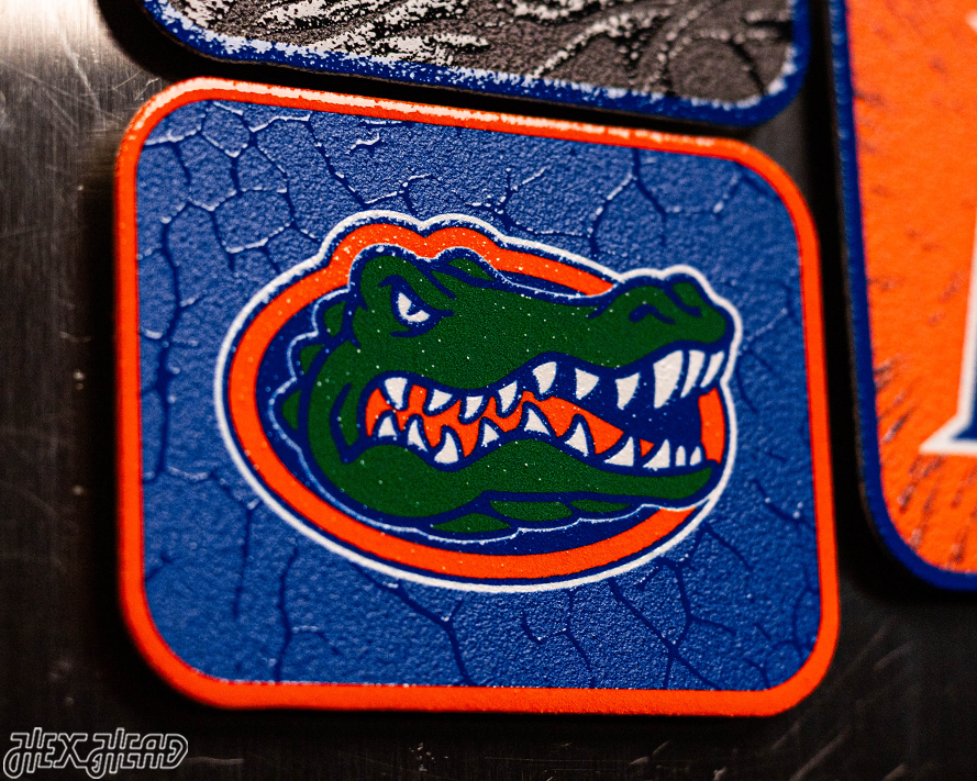 Florida Gators - SET of 3 Magnets