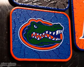 Florida Gators - SET of 3 Magnets