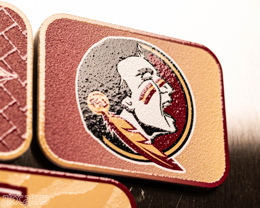 Florida State Seminoles - SET of 3 Magnets
