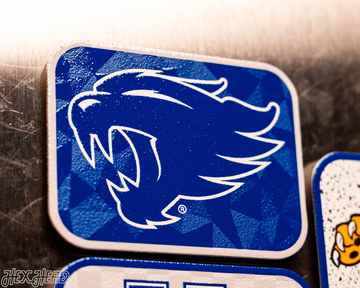 Kentucky Wildcats - SET of 3 Magnets