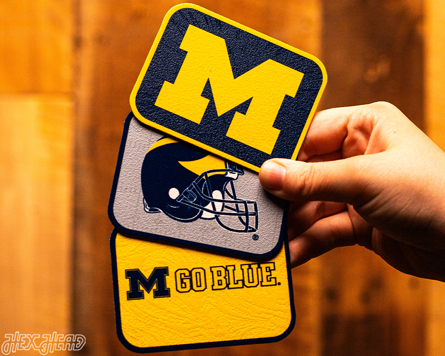 Michigan Wolverines - SET of 3 Magnets