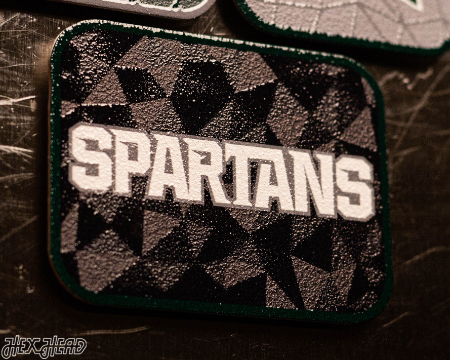 Michigan State Spartans - SET of 3 Magnets