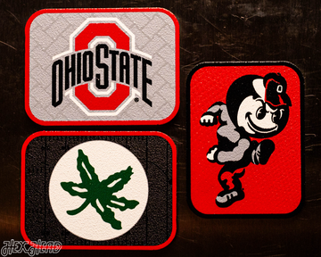 Ohio State Buckeyes - SET of 3 Magnets
