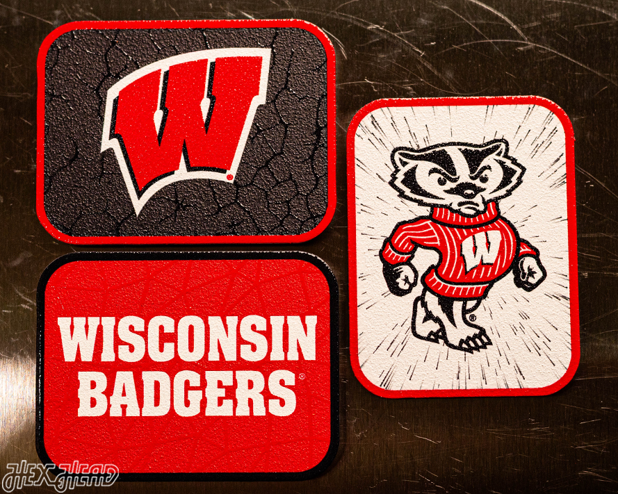 Wisconsin Badgers - SET of 3 Magnets
