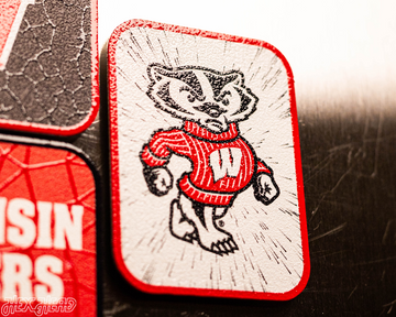 Wisconsin Badgers - SET of 3 Magnets
