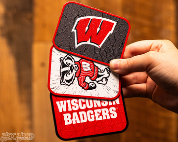 Wisconsin Badgers - SET of 3 Magnets