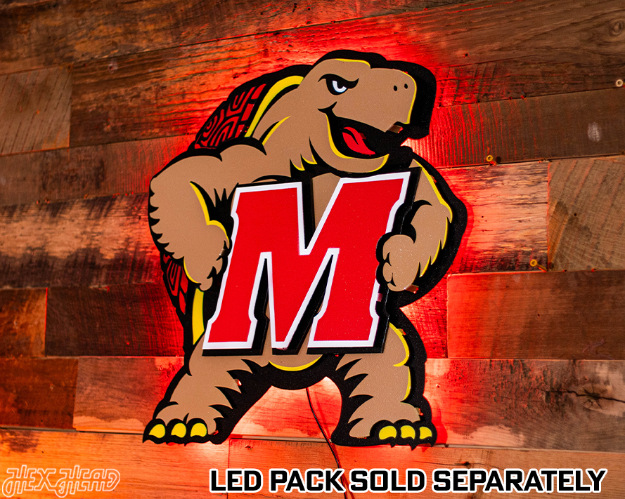 Maryland Terrapins "Testudo" 3D Vintage Metal Wall Art