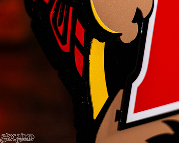 Maryland Terrapins "Testudo" 3D Vintage Metal Wall Art