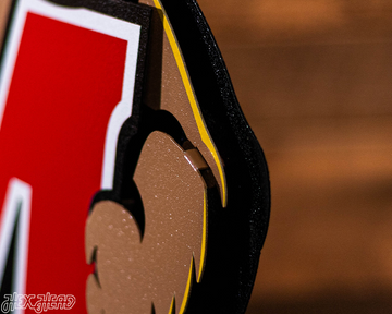 Maryland Terrapins "Testudo" 3D Vintage Metal Wall Art