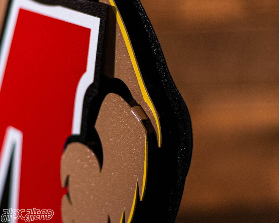 Maryland Terrapins "Testudo" 3D Vintage Metal Wall Art