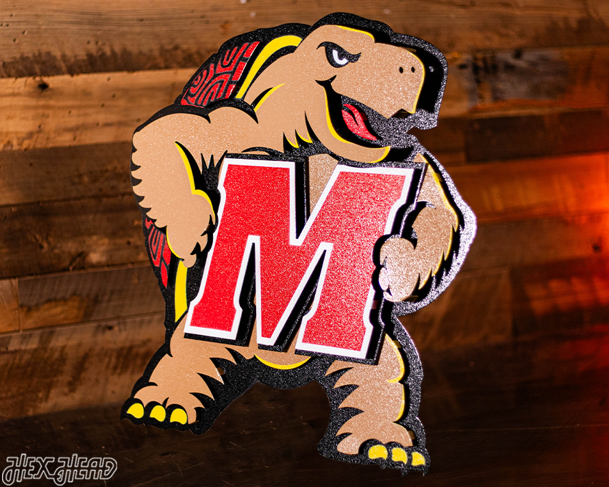 Maryland Terrapins "Testudo" 3D Vintage Metal Wall Art