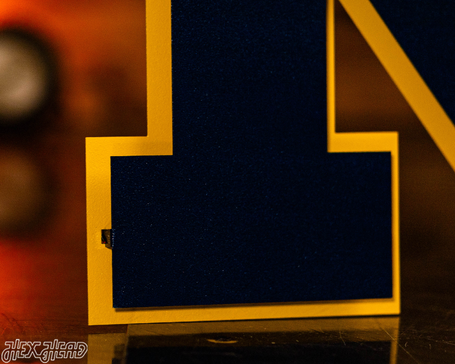 Michigan Wolverines "Block M" Blue Metal Wall Art