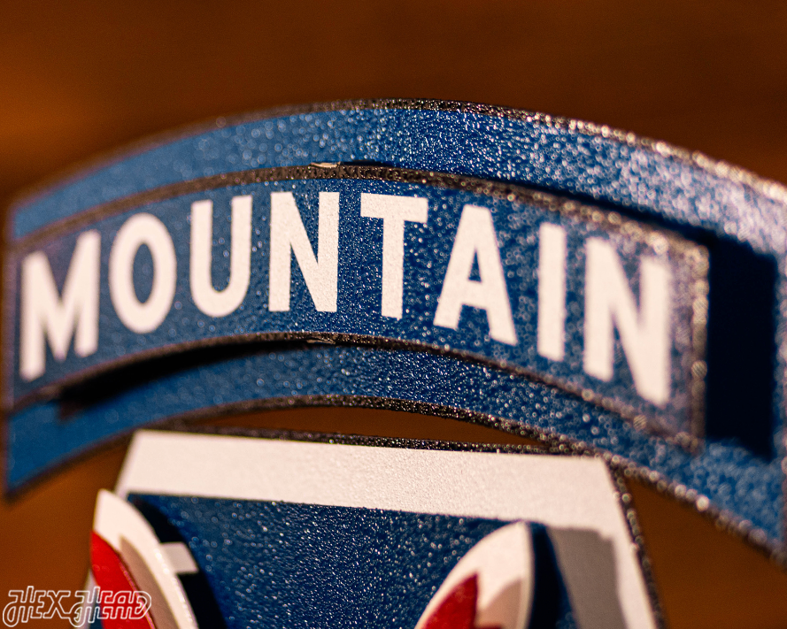US Army 10th Mountain Patch 3D Metal Wall Art