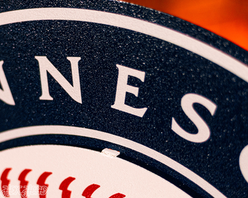 Minnesota Twins Crest 3D Metal Wall Art