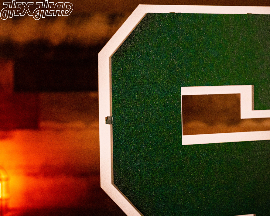 Michigan State "S" 3D Vintage Metal Wall Art