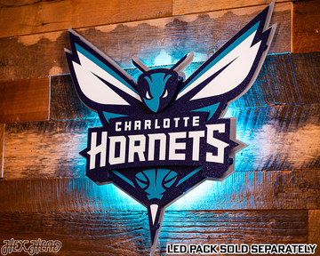 Charlotte Hornets NBA 3D Vintage Metal Wall Art