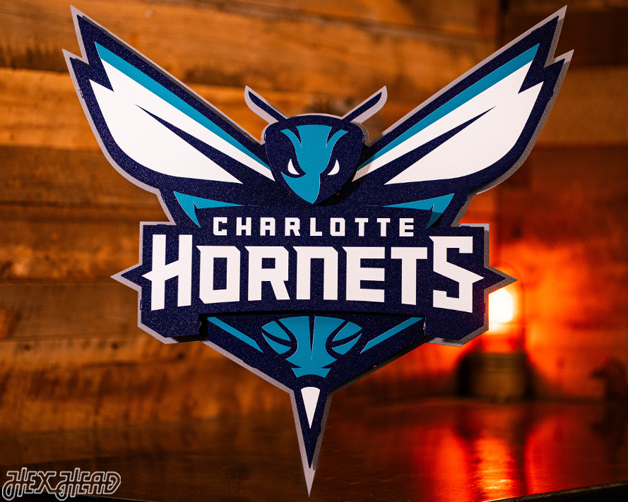 Charlotte Hornets NBA 3D Vintage Metal Wall Art