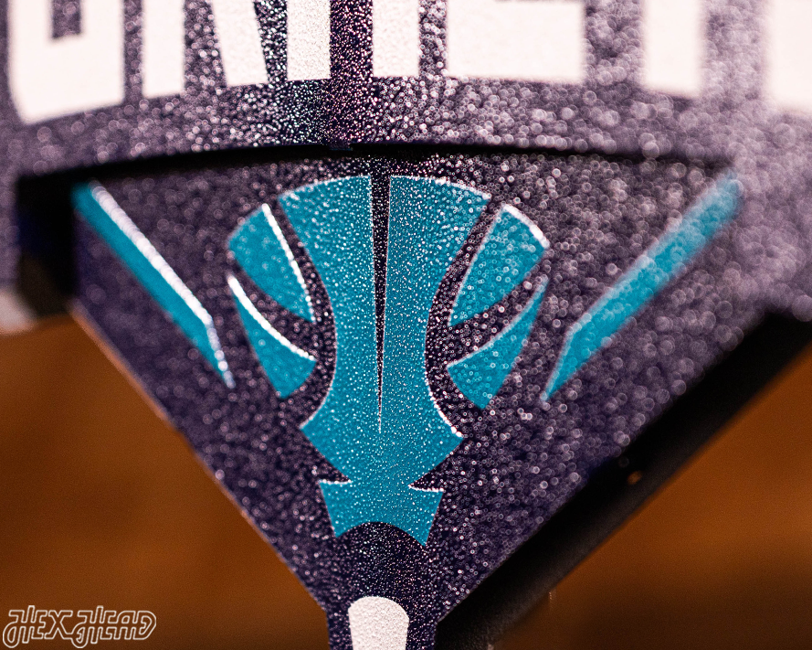 Charlotte Hornets NBA 3D Vintage Metal Wall Art