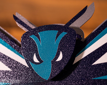 Charlotte Hornets NBA 3D Vintage Metal Wall Art