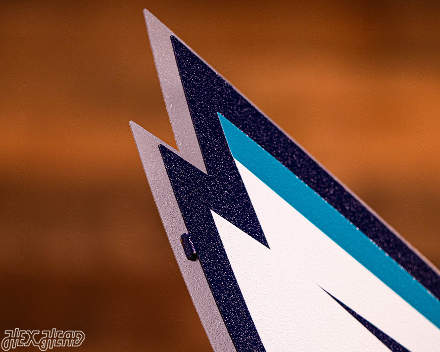 Charlotte Hornets NBA 3D Vintage Metal Wall Art