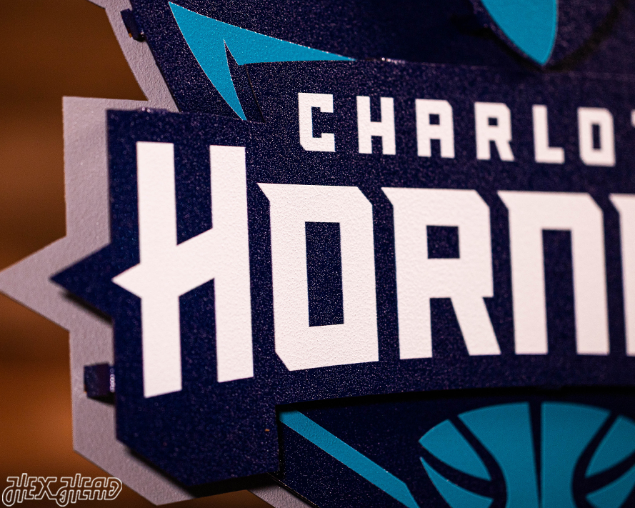 Charlotte Hornets NBA 3D Vintage Metal Wall Art