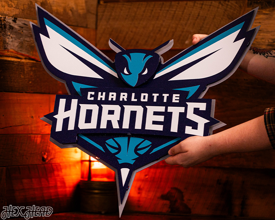 Charlotte Hornets NBA 3D Vintage Metal Wall Art