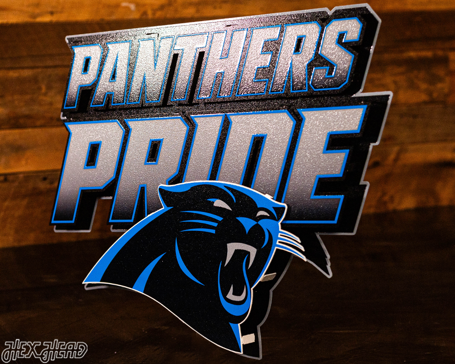 Carolina Panthers - Hex Head EXCLUSIVE "PANTHERS PRIDE" Wordmark 3D Metal Wall Art