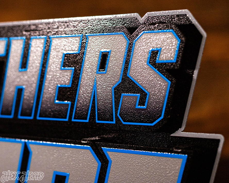 Carolina Panthers - Hex Head EXCLUSIVE "PANTHERS PRIDE" Wordmark 3D Metal Wall Art