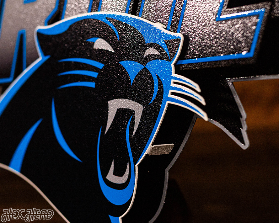 Carolina Panthers - Hex Head EXCLUSIVE "PANTHERS PRIDE" Wordmark 3D Metal Wall Art